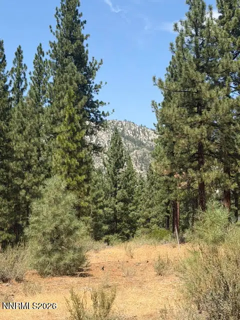 144 Redding Way #349, Carson City, NV 89705 - #3