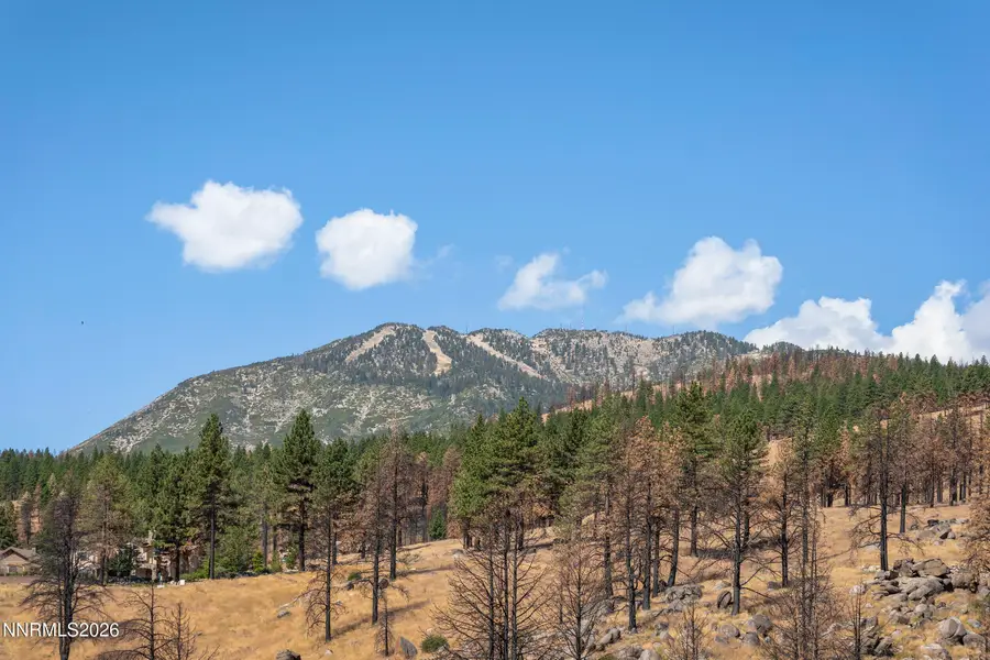 0 Joy Lake Road, Washoe Valley, NV 89704 - #2