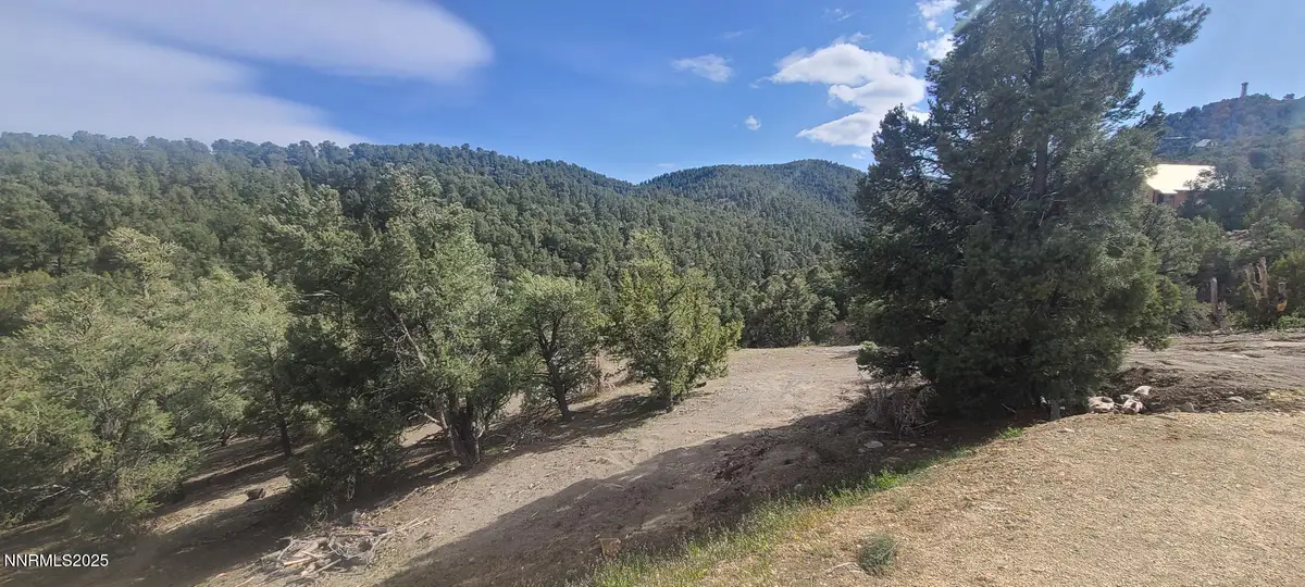21685 Palamino Road, Virginia City, NV 89440 - #1
