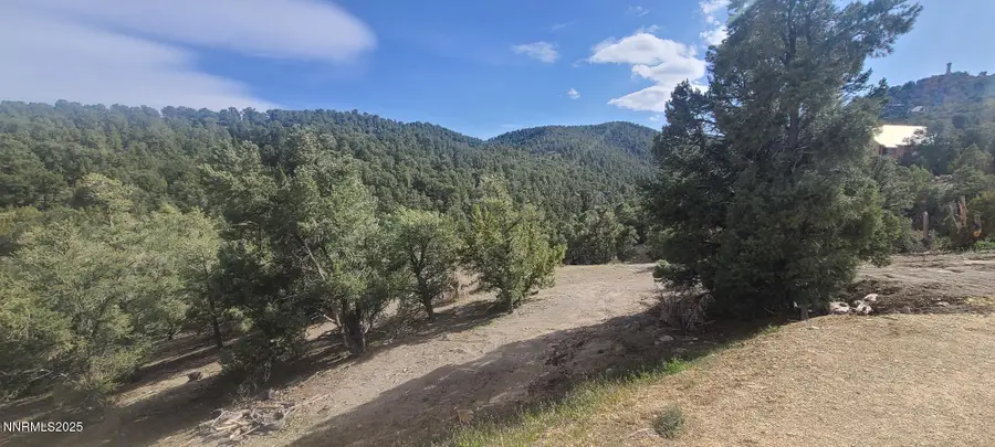 21685 Palamino Road, Virginia City, NV 89440 - #2
