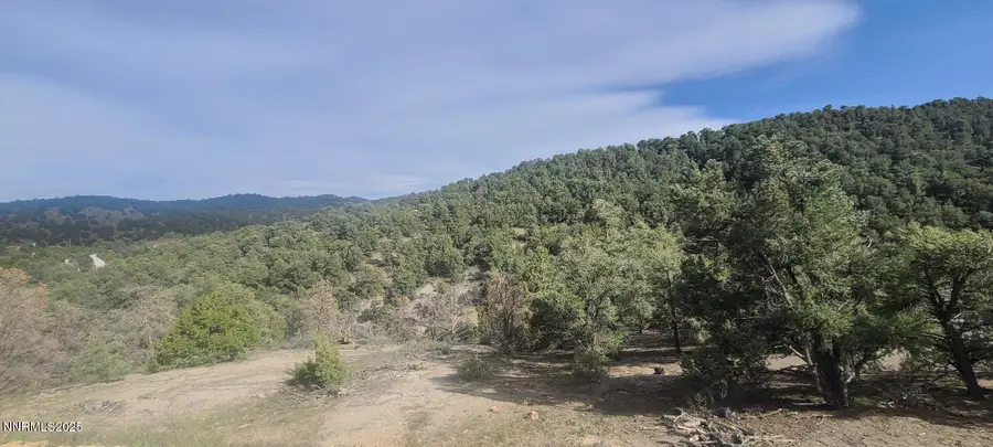 21685 Palamino Road, Virginia City, NV 89440 - #3