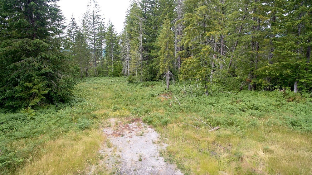 1 Lahar Lane Ptn Lot 4, Cougar, WA 98616 BHGRE