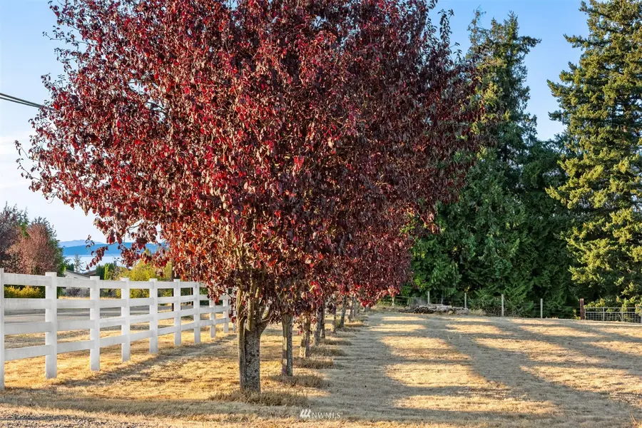 221 Baker View Lane, Camano Island, WA 98282 - Image #2