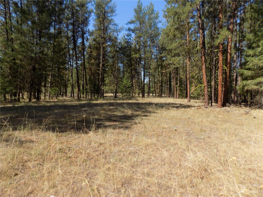 111 Squirrel Road, Tonasket, WA 98855 BHGRE