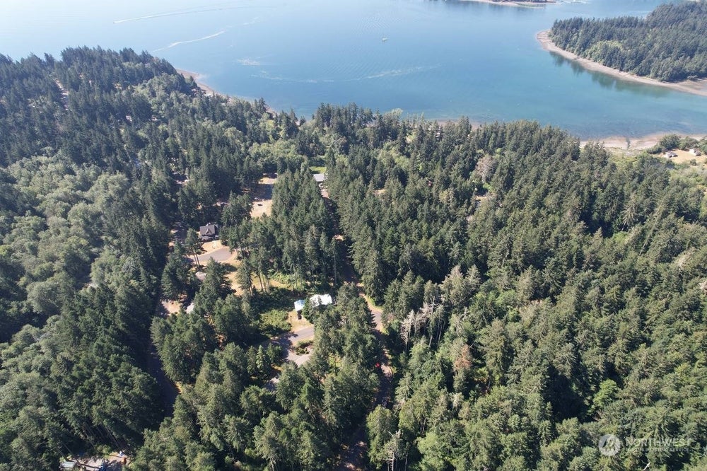 11825 112th Avenue 50, Anderson Island, WA 98303 BHGRE