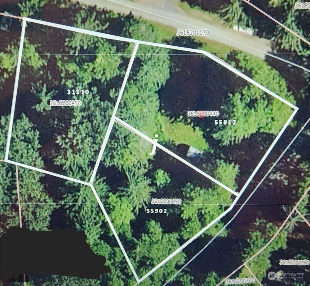 55812 317th Avenue E, Ashford, WA 98304 BHGRE