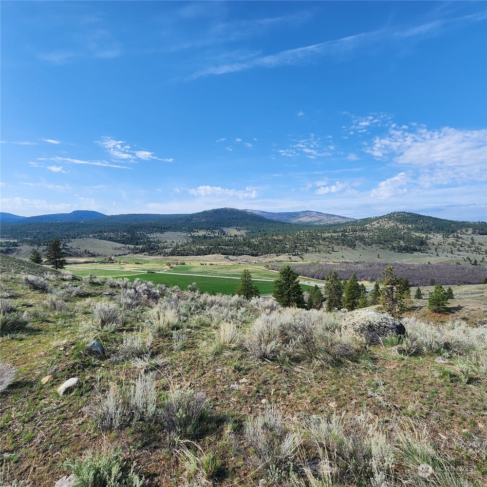 0 State Route 20 & Aeneas Valley Road 14 & 11, Tonasket, WA 98855 BHGRE