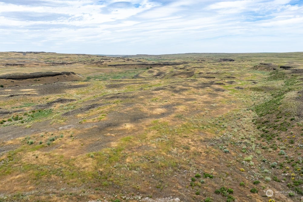 51 Eagle Springs Ranch 51, Wilson Creek, WA 98860 BHGRE