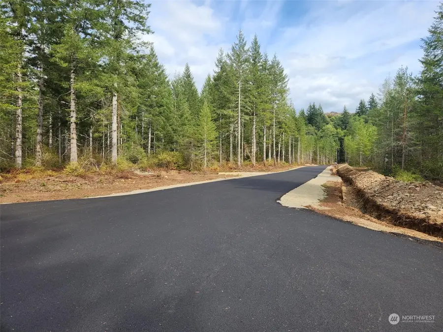 0 Lot 1 Div 2 Raven Lane, Elma, WA 98541 - #2