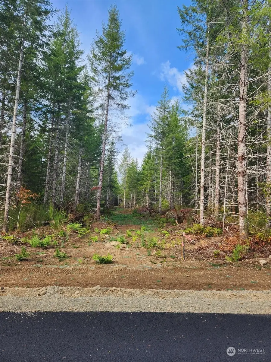 0 Lot 1 Div 2 Raven Lane, Elma, WA 98541 - #3