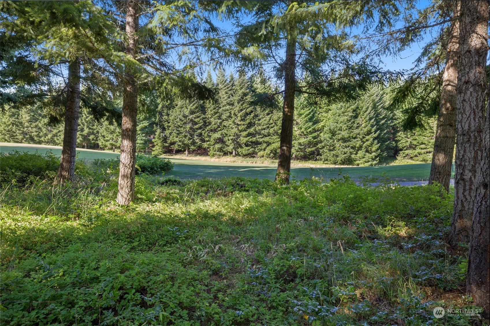 51 Big Bug Lane #1-9, Cle Elum, Wa 98922 - Bhgre