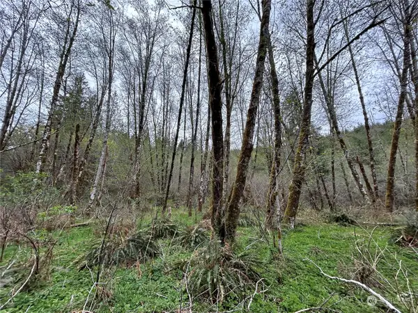 0 Abernathy Creek Road, Longview, WA 98632