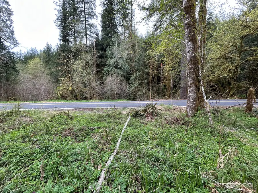 0 Abernathy Creek Road, Longview, WA 98632 - #3