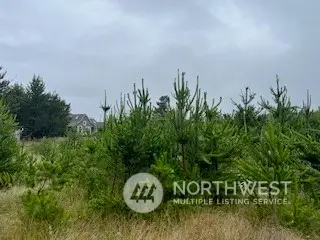 806 318th Place #9, 10 & 11, Ocean Park, WA 98640 - Image #1