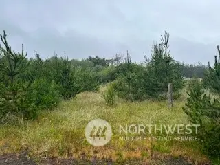 806 318th Place #9, 10 & 11, Ocean Park, WA 98640 - Image #2