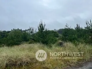 806 318th Place #9, 10 & 11, Ocean Park, WA 98640 - Image #3