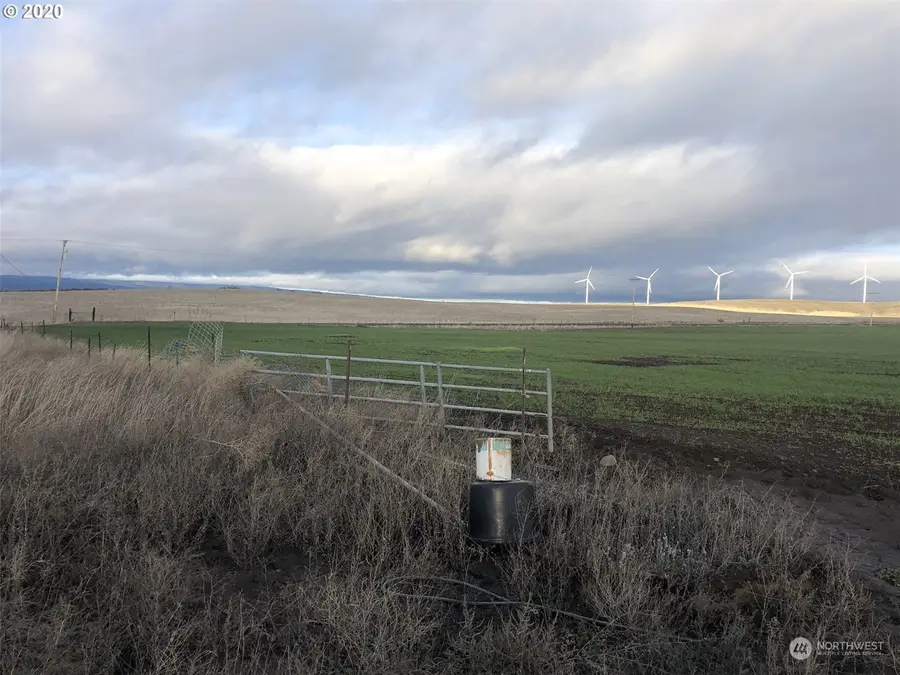 950 Hoctor Road, Goldendale, WA 98602 - Image #2