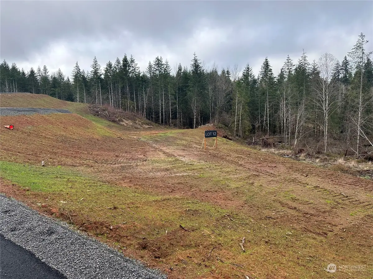 168 Ash Mountain Drive #1, Castle Rock, WA 98611 - #1