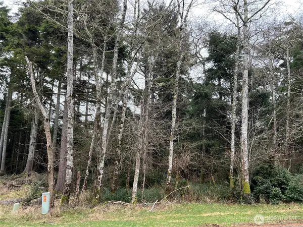 314 Lake View Loop Ne #32, Ocean Shores, WA 98569