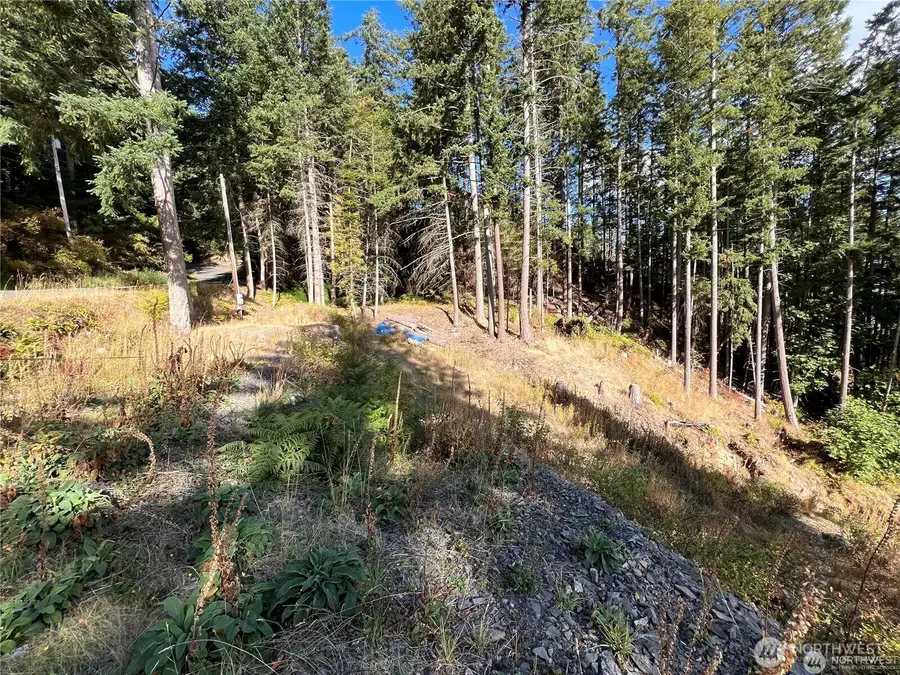 3010 Hales Passage Drive #73, 74, 75, 76, Lummi Island, WA 98262 - Image #2