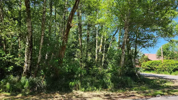 801 Duck Lake Drive Ne #316, Ocean Shores, WA 98569