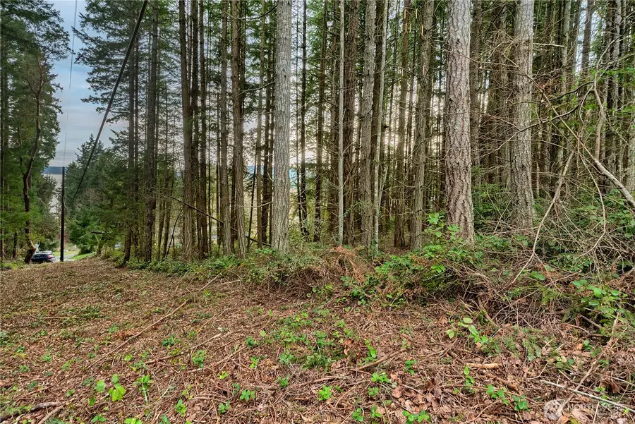 3 Huckleberry Lane, Port Ludlow, WA 98365 - #2