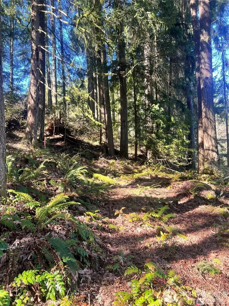 1 Southern Court #53,54,55,56,57,58, Bellingham, WA 98229 - Image #2