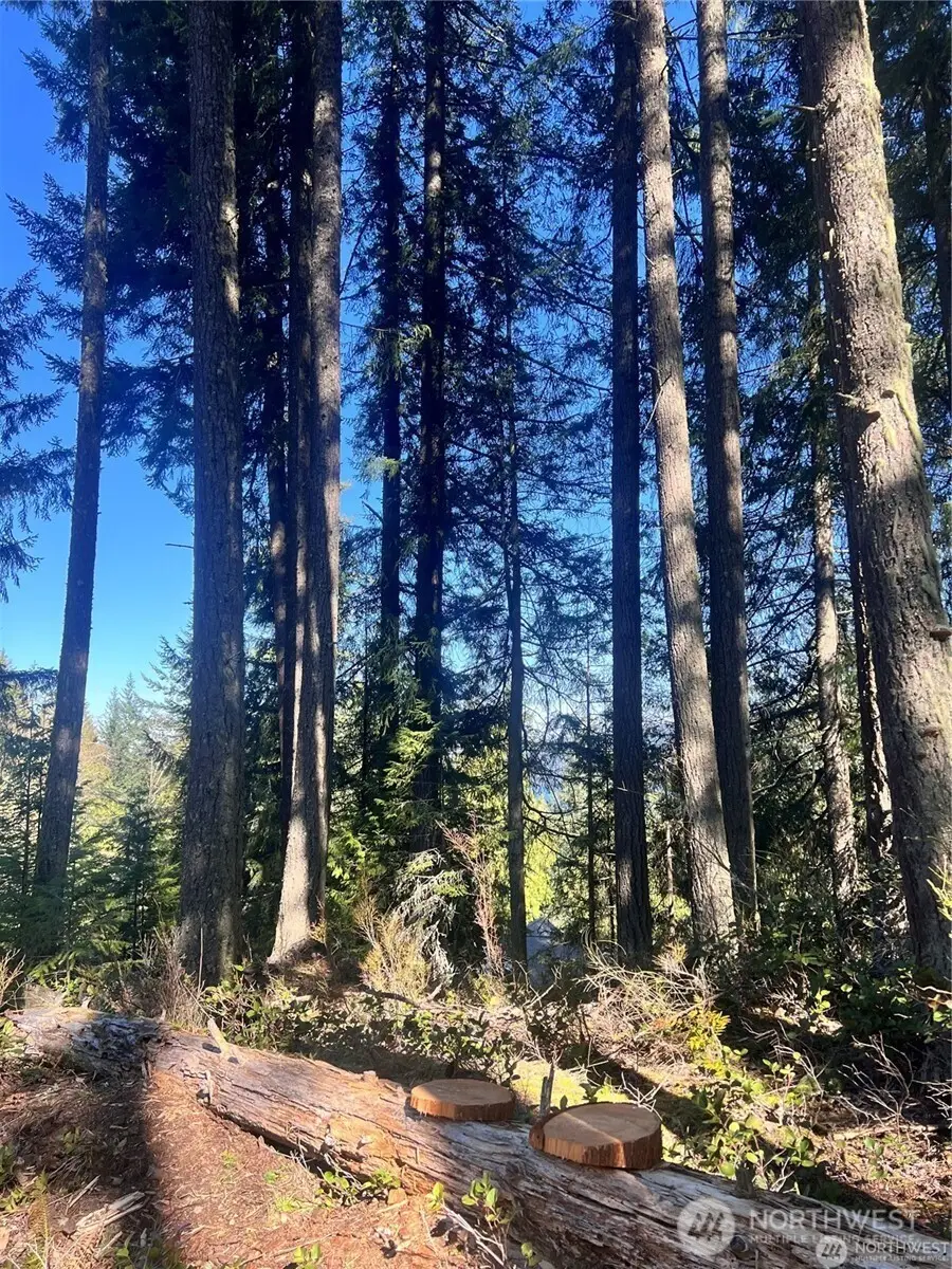 1 Southern Court #53,54,55,56,57,58, Bellingham, WA 98229 - Image #3