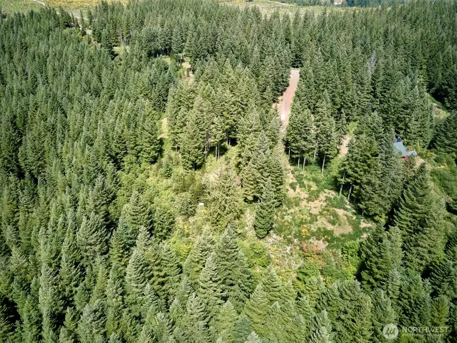 3 Phyllis Ann Block Court #3, Cougar, WA 98616 - Image #2