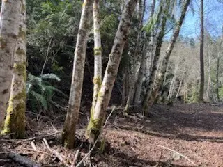 #3