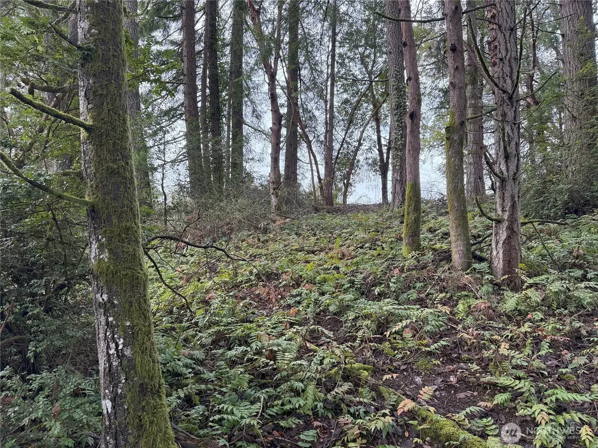 7719 Rosedale Street Nw, Gig Harbor, WA 98335 - #1