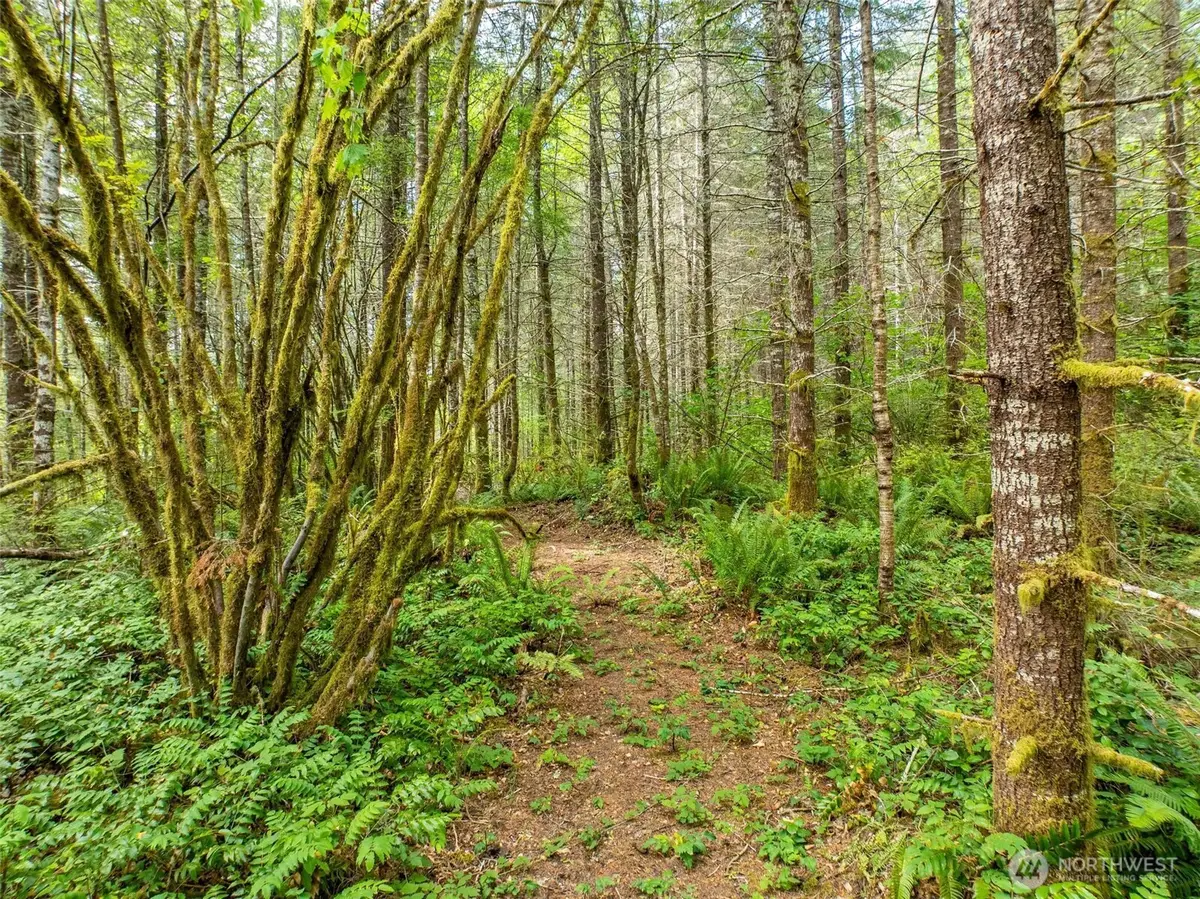 0 Lincoln Creek Road, Rochester, WA 98579 - #1