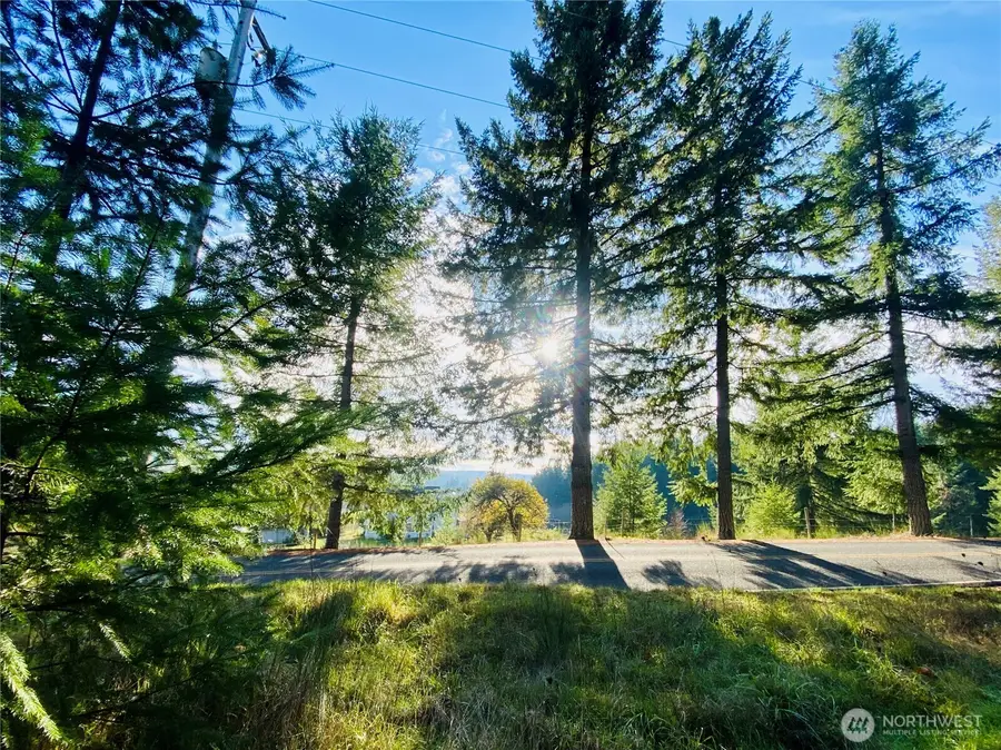 0 Lincoln Creek Road, Rochester, WA 98579 - #2