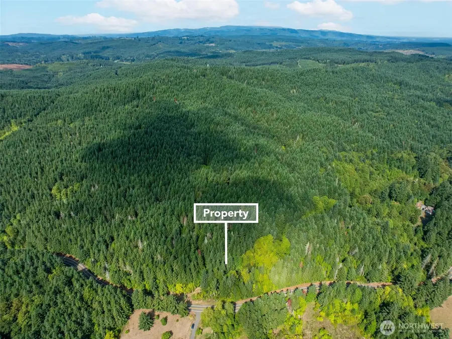 0 Lincoln Creek Road, Rochester, WA 98579 - #3