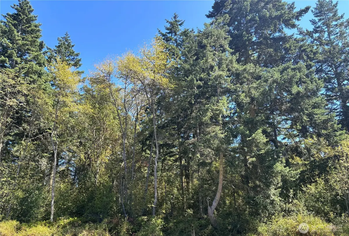 15 Xx7 Rainier Street, Port Townsend, WA 98368 - Image #1