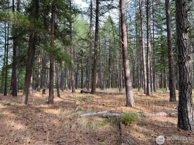 0 Unknown, Cle Elum, WA 98922 - Image #2