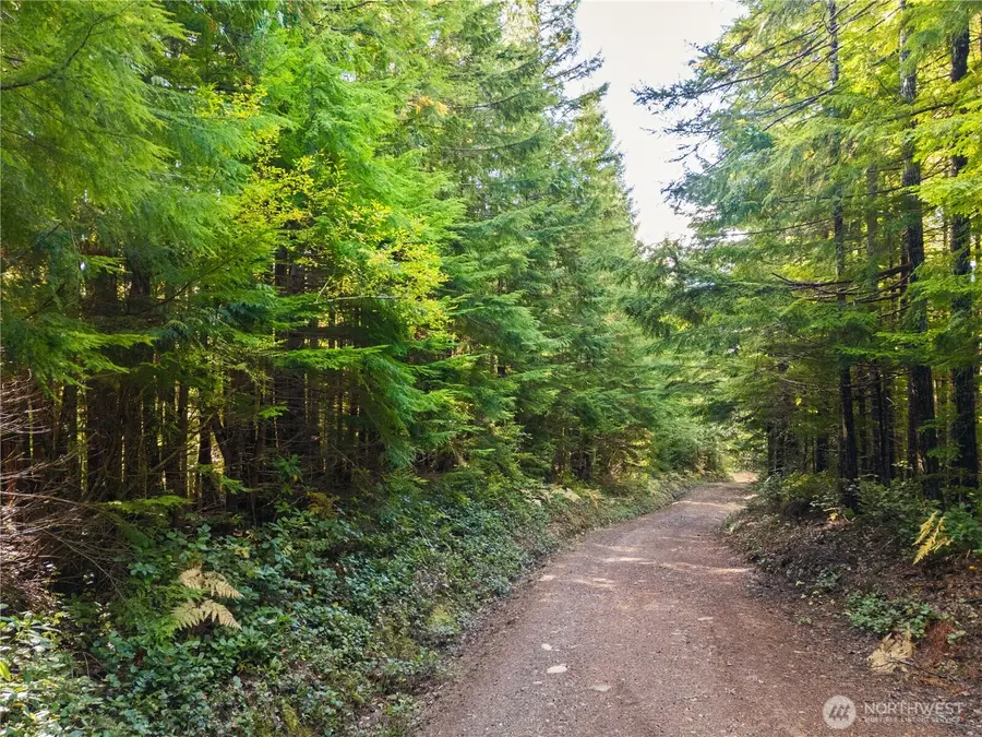 1350 N Hilltop Loop Road, Hoodsport, WA 98548 - Image #3