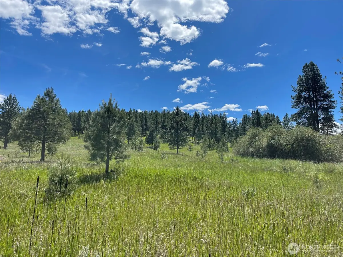 0 A Chopaka Way, Tonasket, WA 98855 - #1