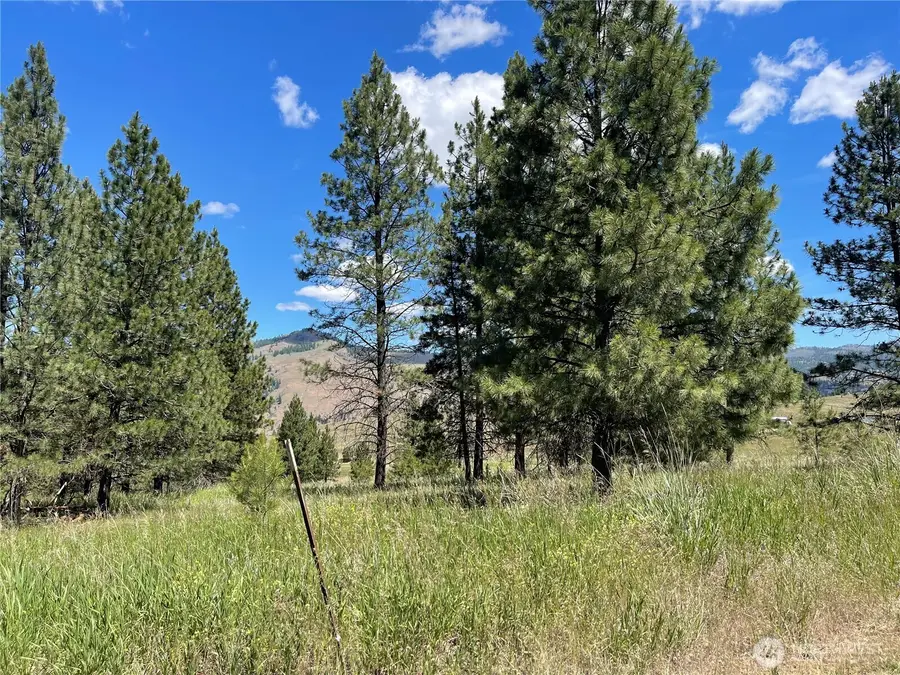 0 A Chopaka Way, Tonasket, WA 98855 - #3