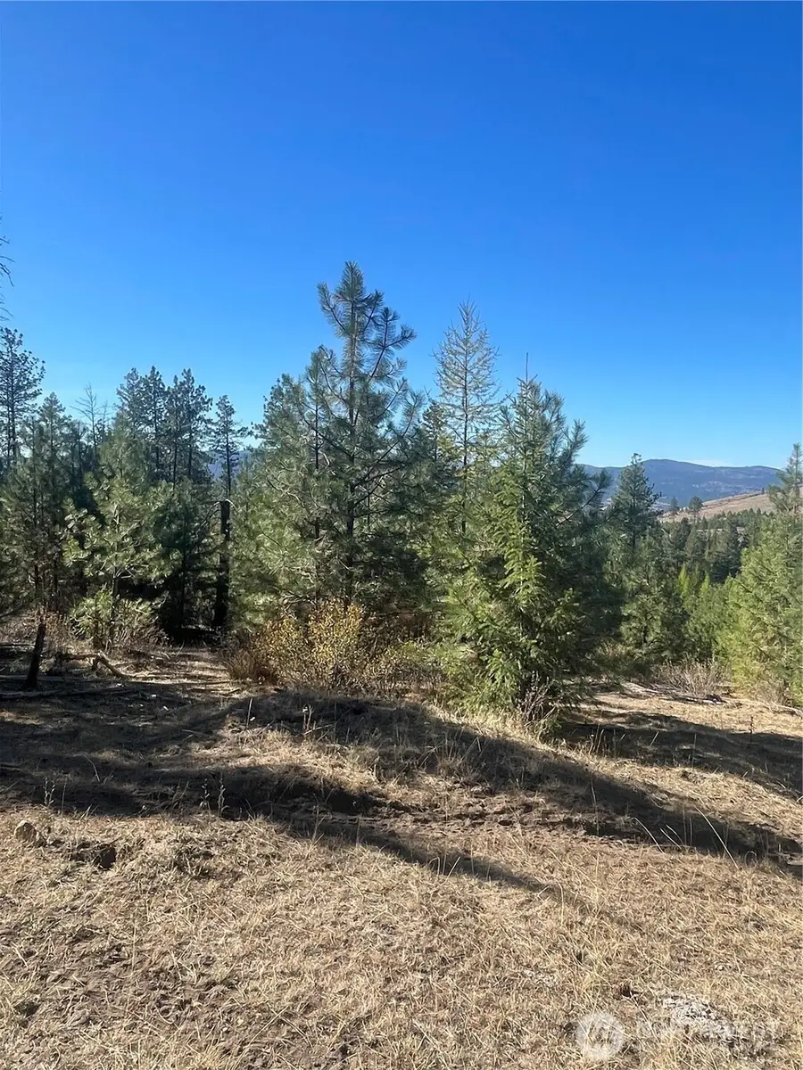 0 High Country Road W, Tonasket, WA 98855 - Image #2