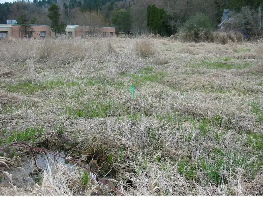 1215 9th Street Se, Puyallup, WA 98372 - Image #3