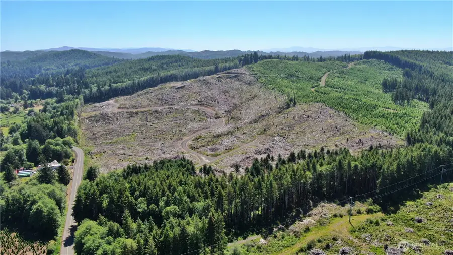 0 Smith Creek Road, Raymond, WA 98577 - Image #3