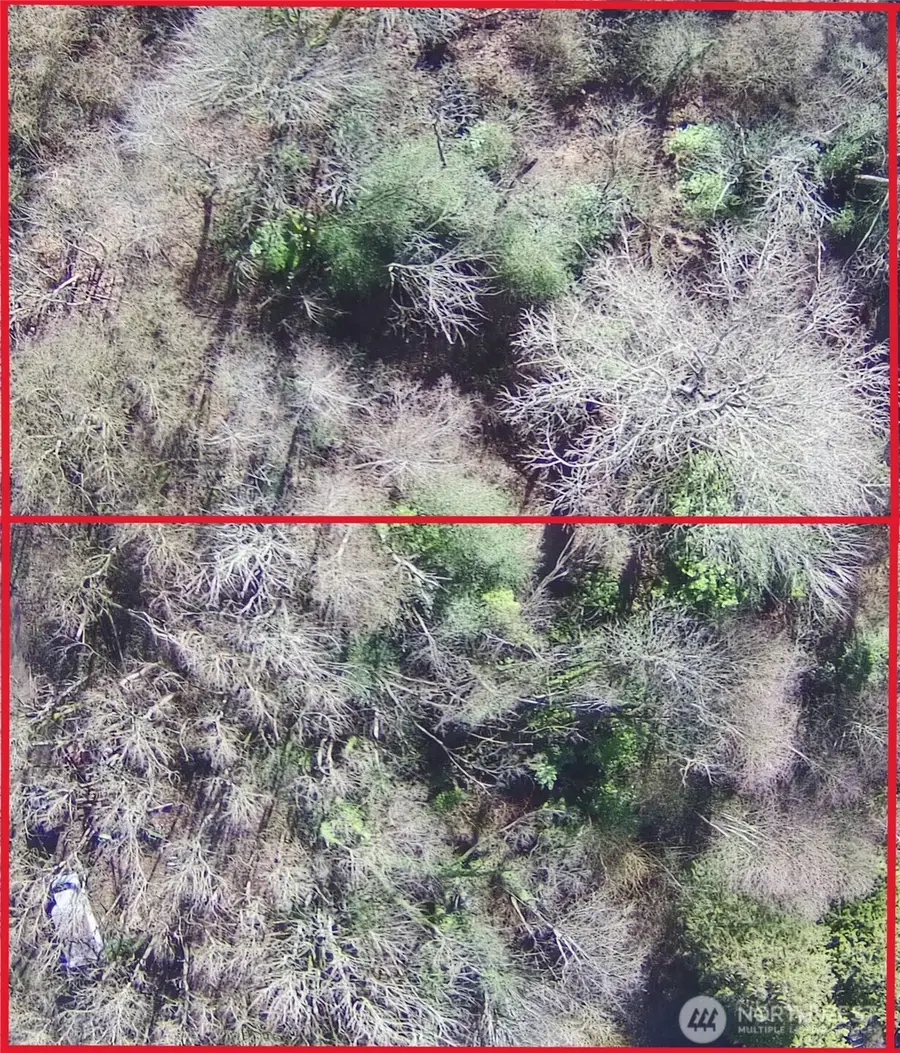 123 47th Avenue S, Seattle, WA 98178 - Image #2