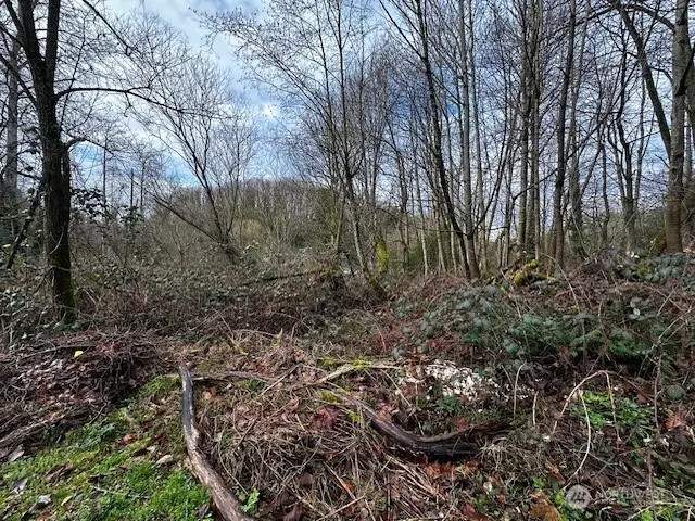 123 47th Avenue S, Seattle, WA 98178 - Image #3