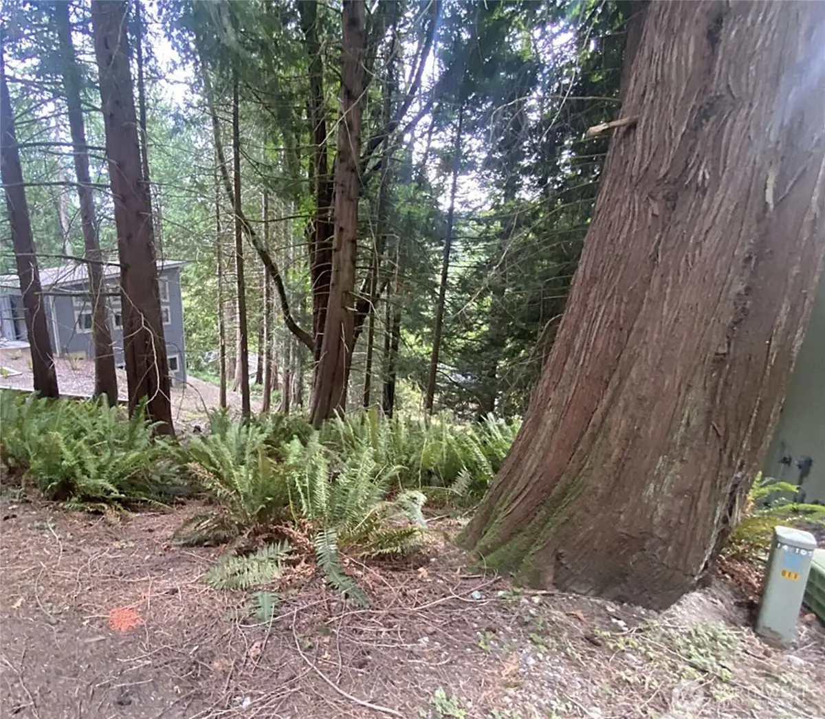 11 Granite Circle #102, Bellingham, WA 98229 - #1