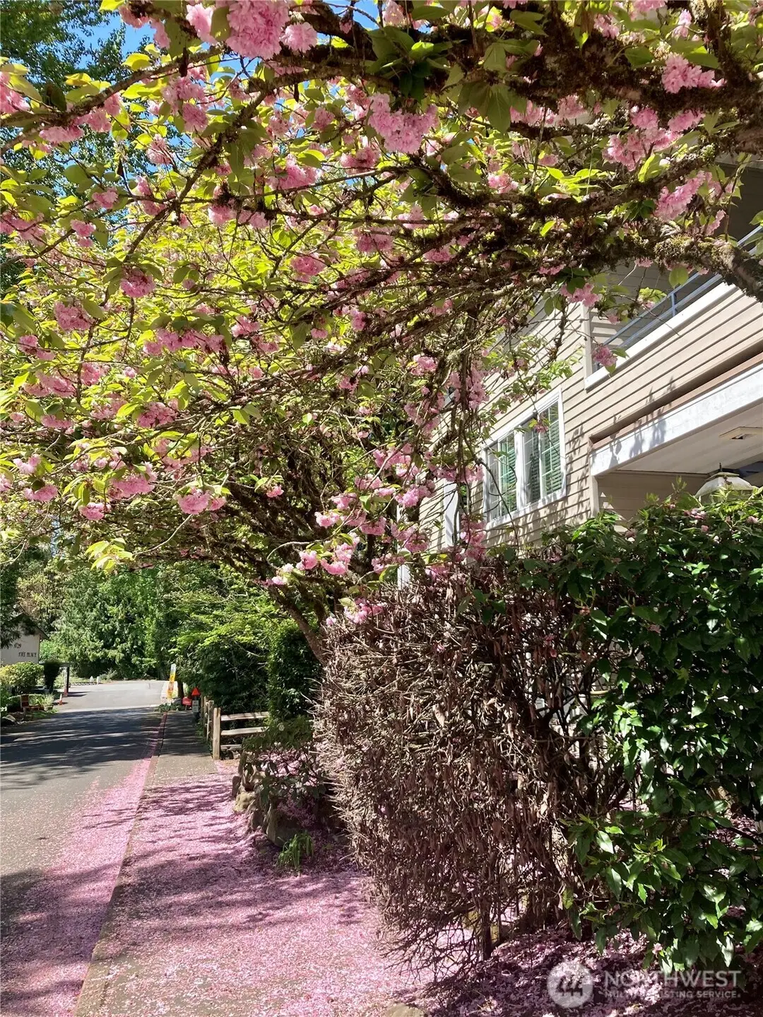 9822 NE 122nd Street #U201, Kirkland, WA 98034 - Image #1