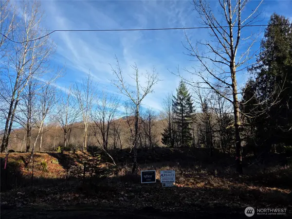 0 Slalom Way #12, Packwood, WA 98361