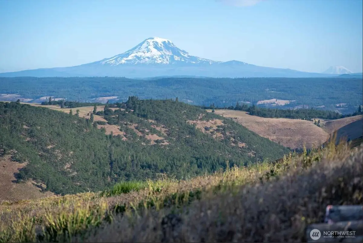 0 Fin Ridge Road, Centerville, WA 98613 - Image #1