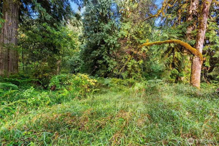 0 NE Cedar Creek Road, Woodland, WA 98674 - #3