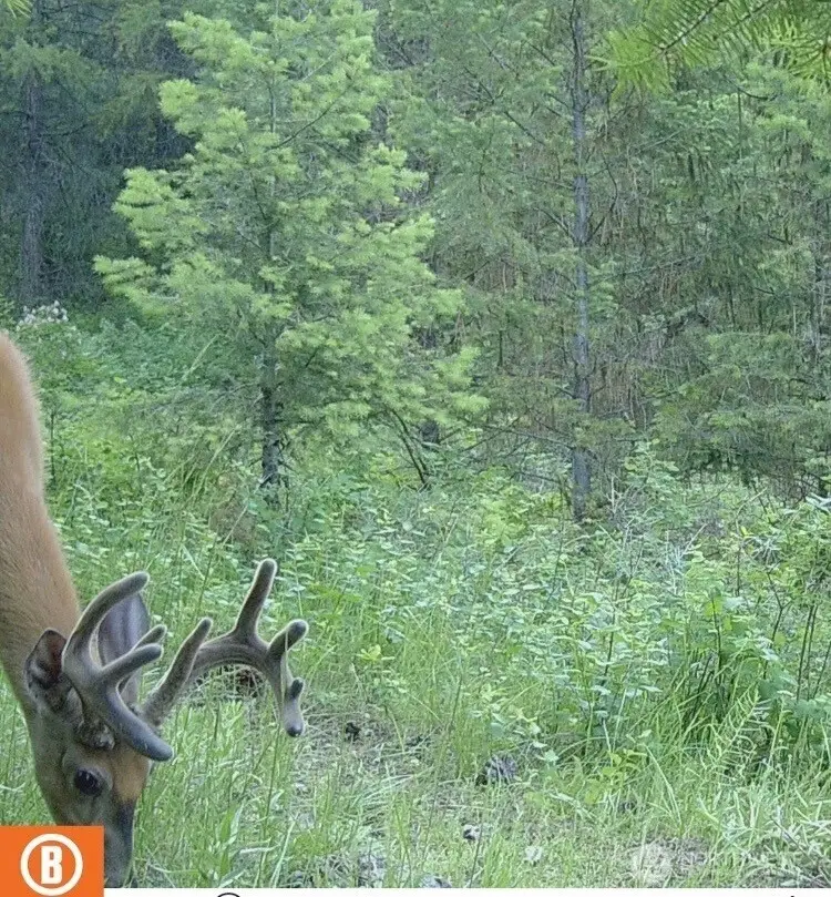 0 Turner Lake Road N, Tonasket, WA 98855 - Image #2